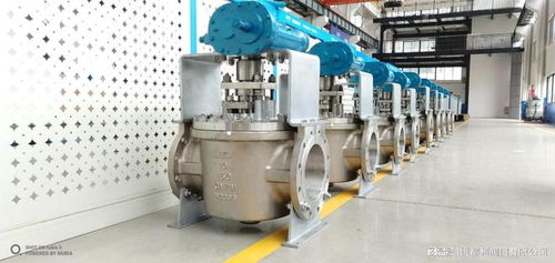 2025年一线旋塞阀品牌展望 引领技术与市场创新的核心力量